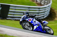 PJ-Motorsport-2019;anglesey;brands-hatch;cadwell-park;croft;donington-park;enduro-digital-images;event-digital-images;eventdigitalimages;mallory;no-limits;oulton-park;peter-wileman-photography;racing-digital-images;silverstone;snetterton;trackday-digital-images;trackday-photos;vmcc-banbury-run;welsh-2-day-enduro